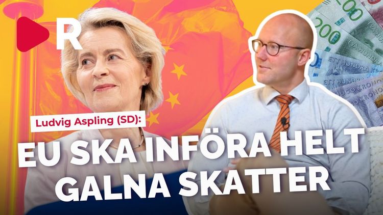Så straffas Sverige av EU: 100 miljarder kronors avgift varje år