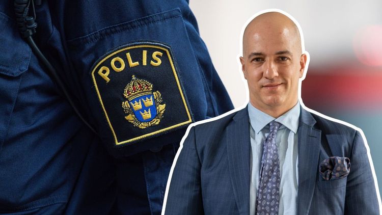 Nima Sanandaji: Ju fler utrikes födda, desto mer brott