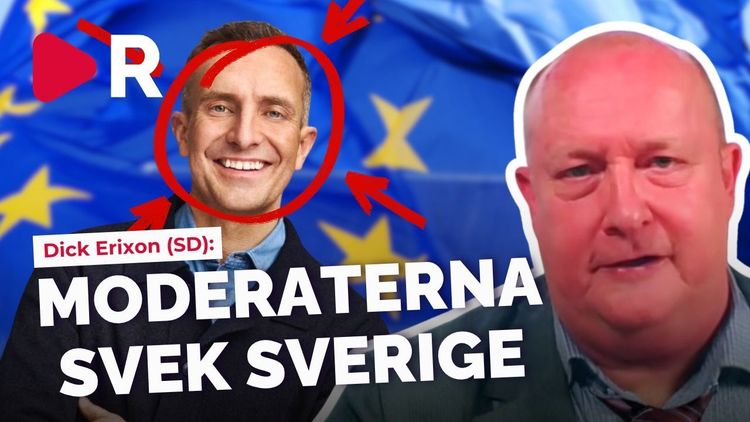 Dick Erixon (SD) rasar mot M efter EU-omröstning: ”Går i spetsen för slöseriet”