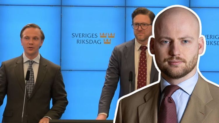 Markus Johansson-Martis: Sverige behöver en Taskforce SOSE