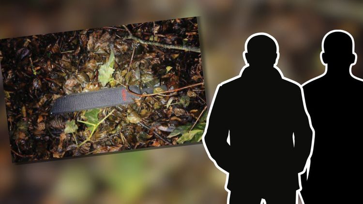 Machetemän åtalas för mordförsök i Hägersten