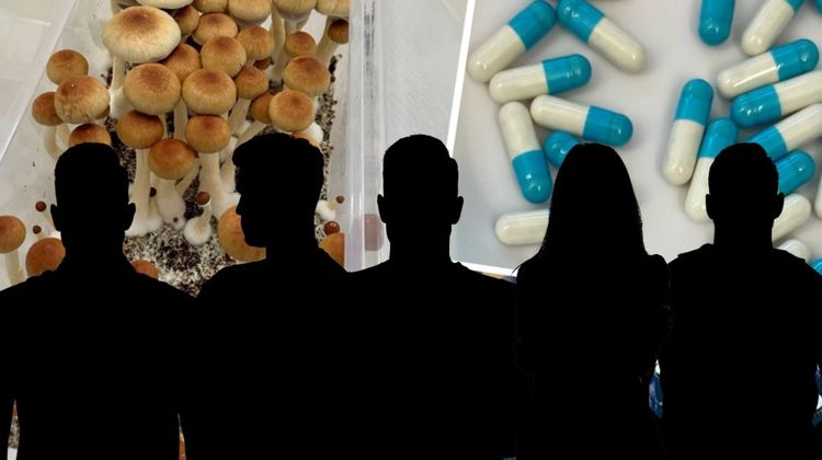 Bosnisk familj blev knarkmiljonärer på hemodlad svamp