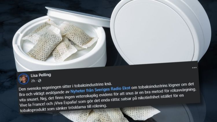 S-profilen hyllar kritiserade snusförbudet: "Satsa på nikotinfrihet"