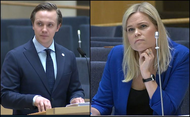 Tobias Andersson (SD): Svenska ungdomar rånas av invandrare – varför nämns inte svenskfientlighet i regeringens "plan mot rasism"?