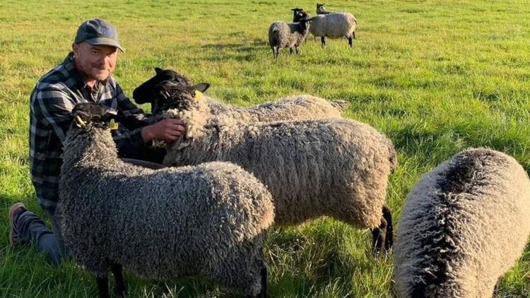 Tjuvar stal fyra av Eriks får: "De säger att det var en muslim"