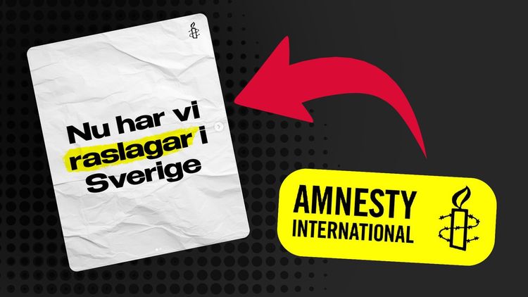 Amnesty kritiseras – jämför vandelskrav med raslagar 