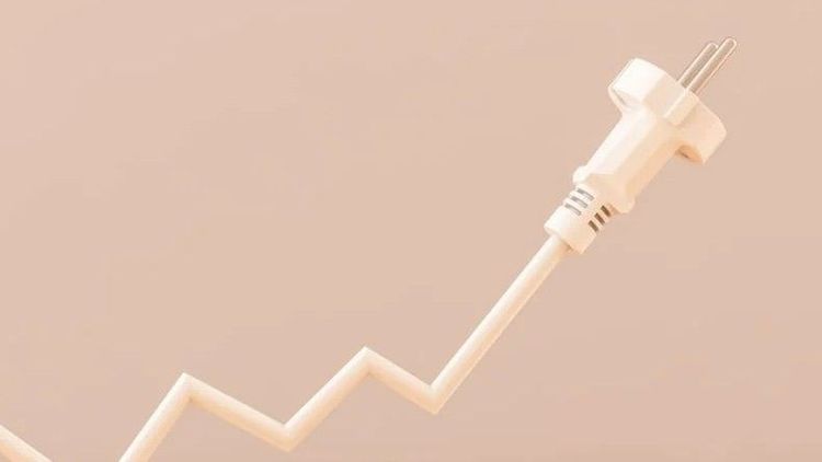 iStock_1381221168.jpg