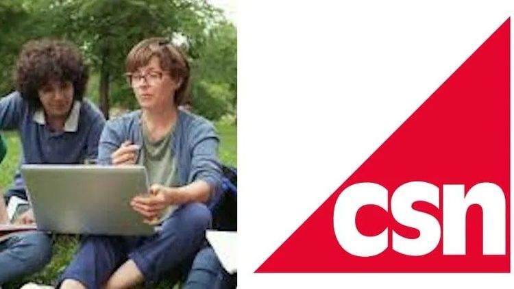 Tusentals studenter jobbar för mycket - CSN kräver tillbaka miljonbelopp
