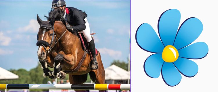 SD:s närvaro på Falsterbo Horse Show splittrar besökare