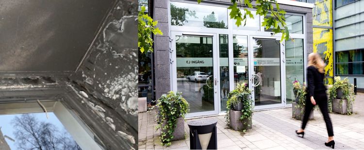 Mamma får 6 års fängelse - 5-åring brann inne efter att ha lämnats ensam