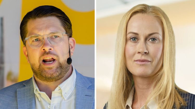 Katja Nyberg ryter ifrån mot SD: "Riktigt allvarlig anklagelse"