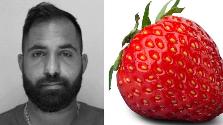 Uppgifter: Ismail "Jordgubben" Abdo gripen i Turkiet