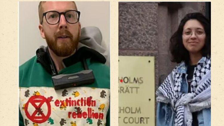 Dömda aktivister på riksdagslistorna för Vänsterpartiet och Miljöpartiet