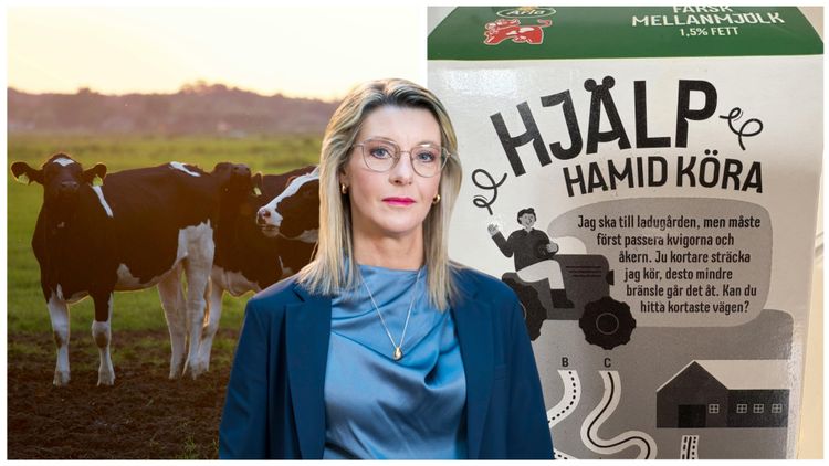SD-toppen rasar över "Wokemjölk" - bonden “Hamid”