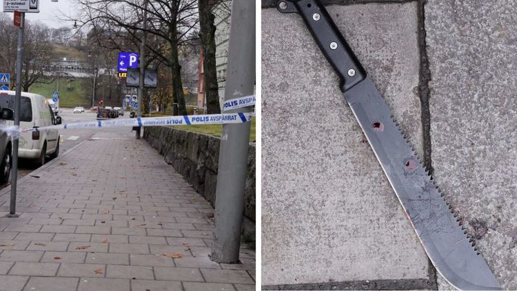 Polisstudent från Turkiet mördade kurdisk kvinna – knivhöggs av hennes son