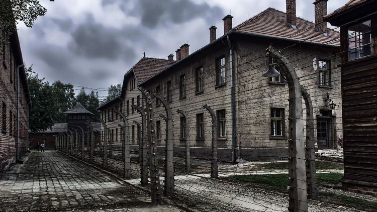 Förintelseförnekare döms enligt förtydligad lag 