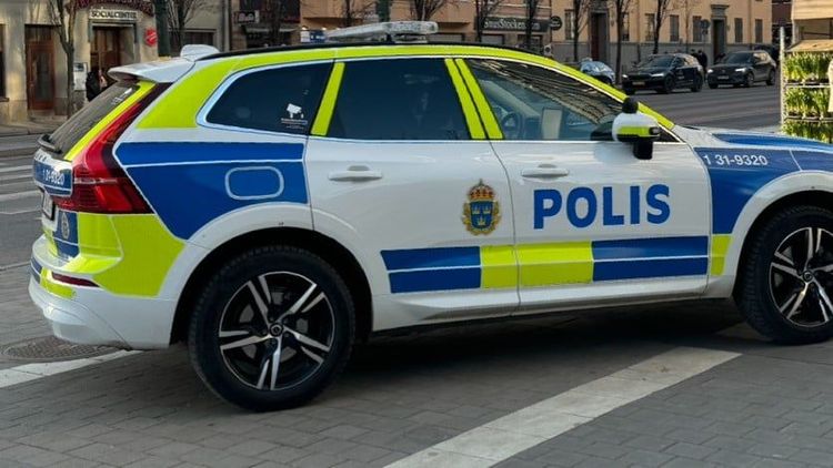 Tonårsflicka misstänks ha blivit indragen i bil och våldtagen