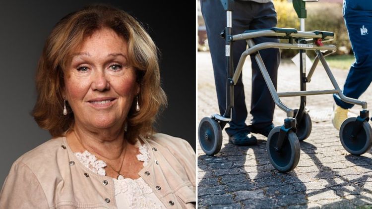 Sverigedemokraterna i Malmö vill stärka skyddet för äldre mot brott