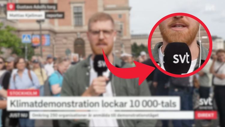 SVT-reporter på klimatmarschen: "Underbart"