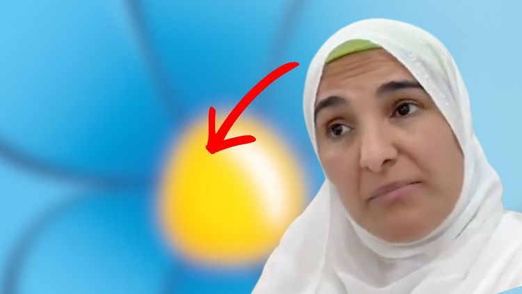 Tara Sabahs nya utspel: "Vi kommer förstöra det SD byggt"