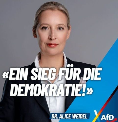 Tyska underrättelsetjänsten ångrar sig – slopar extremiststämpeln på AfD