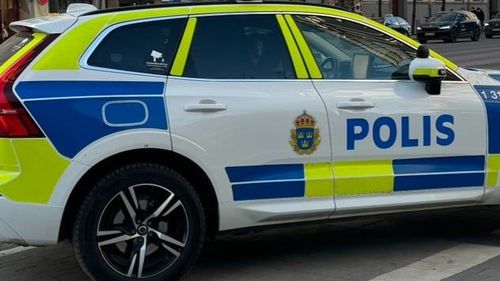 polis1.jpeg