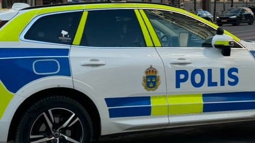 polis1.jpeg