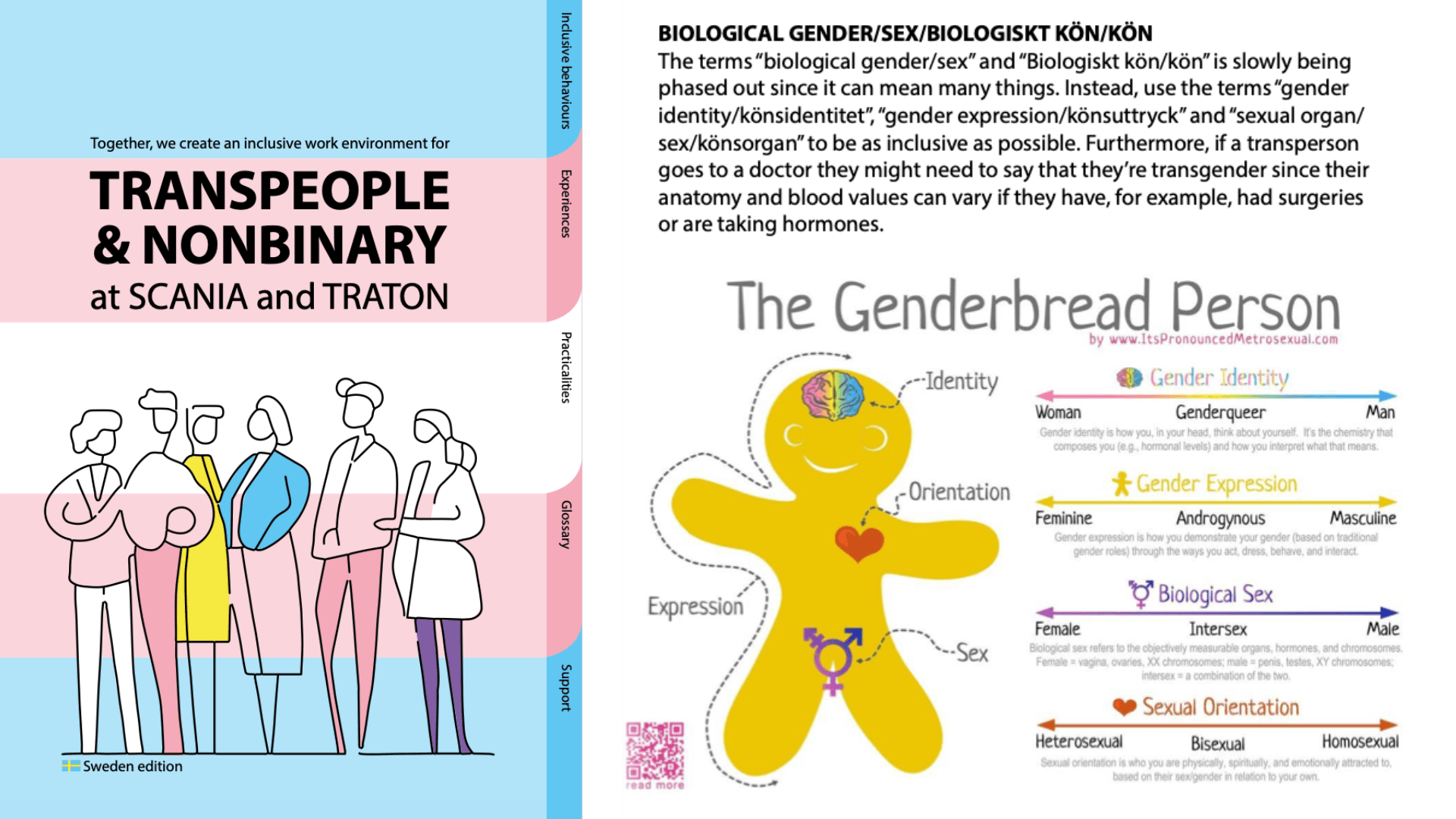 Bilden till vänster föreställer broschyrens omslag. Bilden till höger visar delen "biological gender/sex/biologiskt kön/kön i broschyren. Foto: Skärmdump.&nbsp;